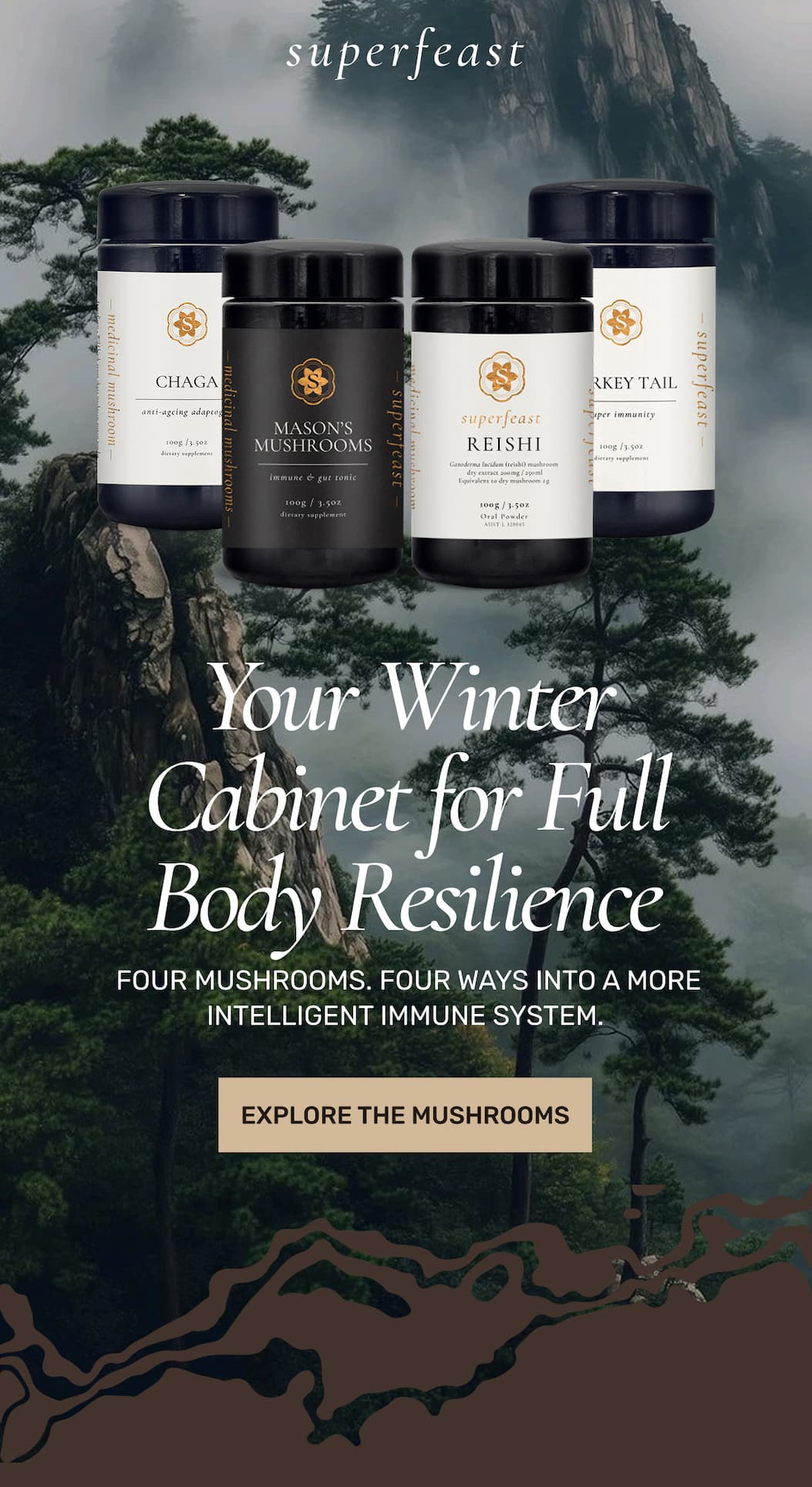 Your Winter Cabinet for Full Body Resilience | EXPLORE THE MUSHROOMS