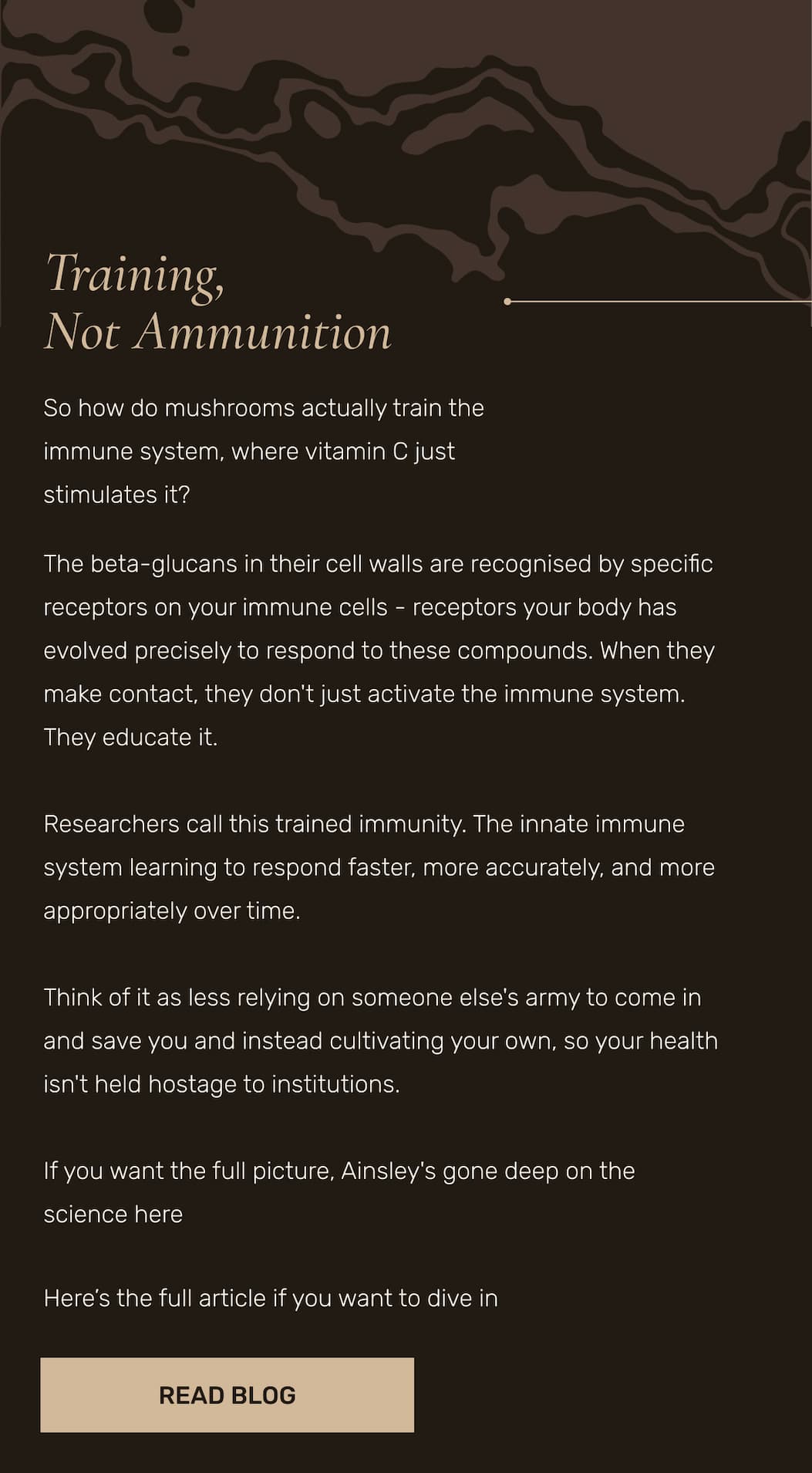 Training, Not Ammunition | READ BLOG