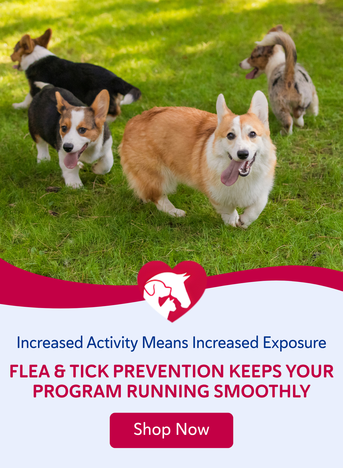 Increased activity means increased exposure—prevention keeps your program running smoothly.- SHOP NOW