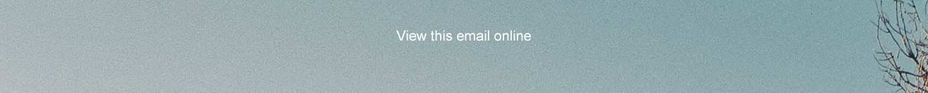 View this email online