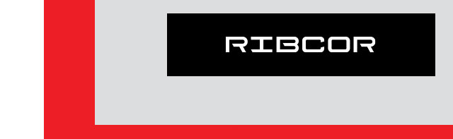 B3a - Shop CCM Ribcor Sticks