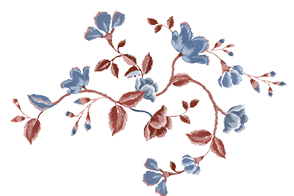 Botanical Beauty