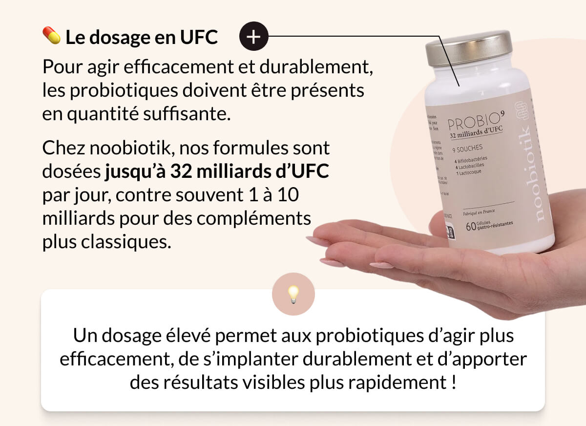 💊 Le dosage en UFC Pour agir efficacement et durablement, les probiotiques doivent être présents en quantité suffisante. Chez noobiotik, nos formules sont dosées jusqu’à 32 milliards d’UFC par jour, contre souvent 1 à 10 milliards pour des compléments plus classiques. 💡 Un dosage élevé permet aux probiotiques d’agir plus efficacement, de s’implanter durablement et d’apporter des résultats visibles plus rapidement !