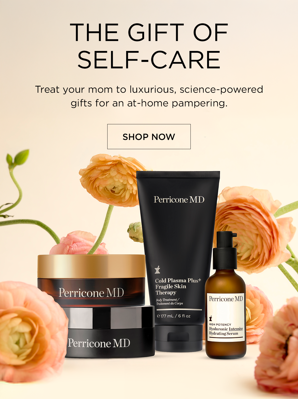 The Gift of Self Care