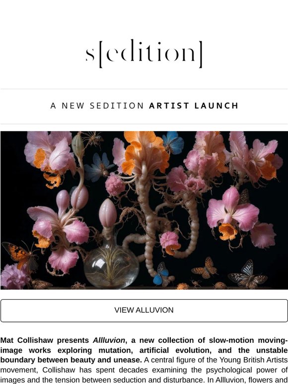 A major new release from Mat Collishaw
