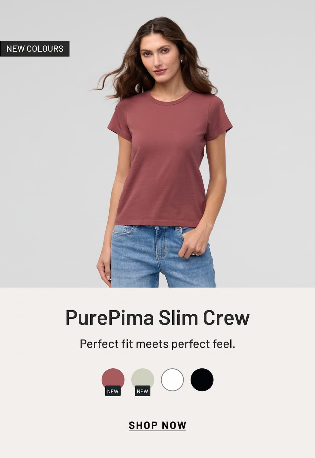 Womens PurePima Slim Crew