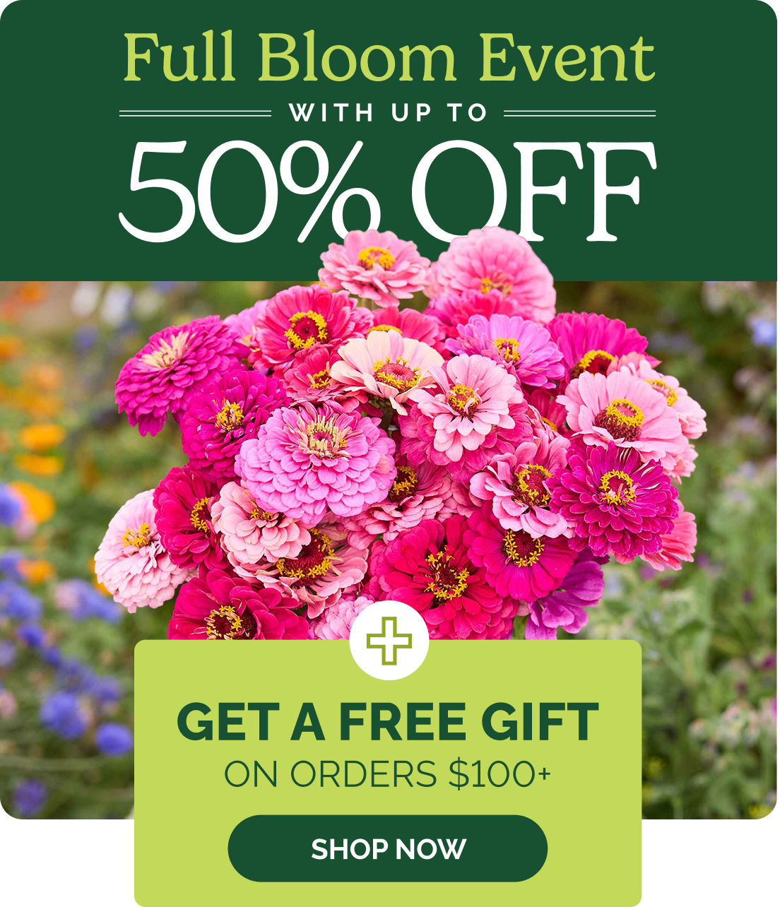 Full Bloom Event with up to 50% off; Get a free gift on orders $100+; SHOP NOW