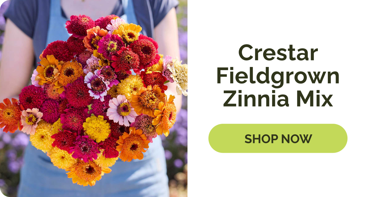 Crestar Fieldgrown Zinnia Mix