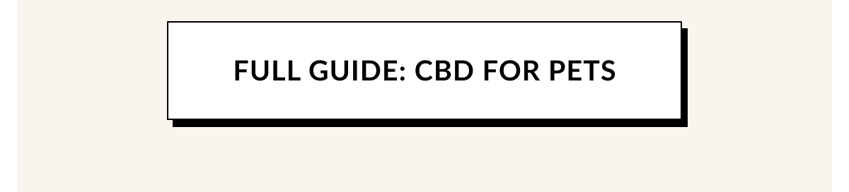 FULL GUIDE: CBD FOR PETS
