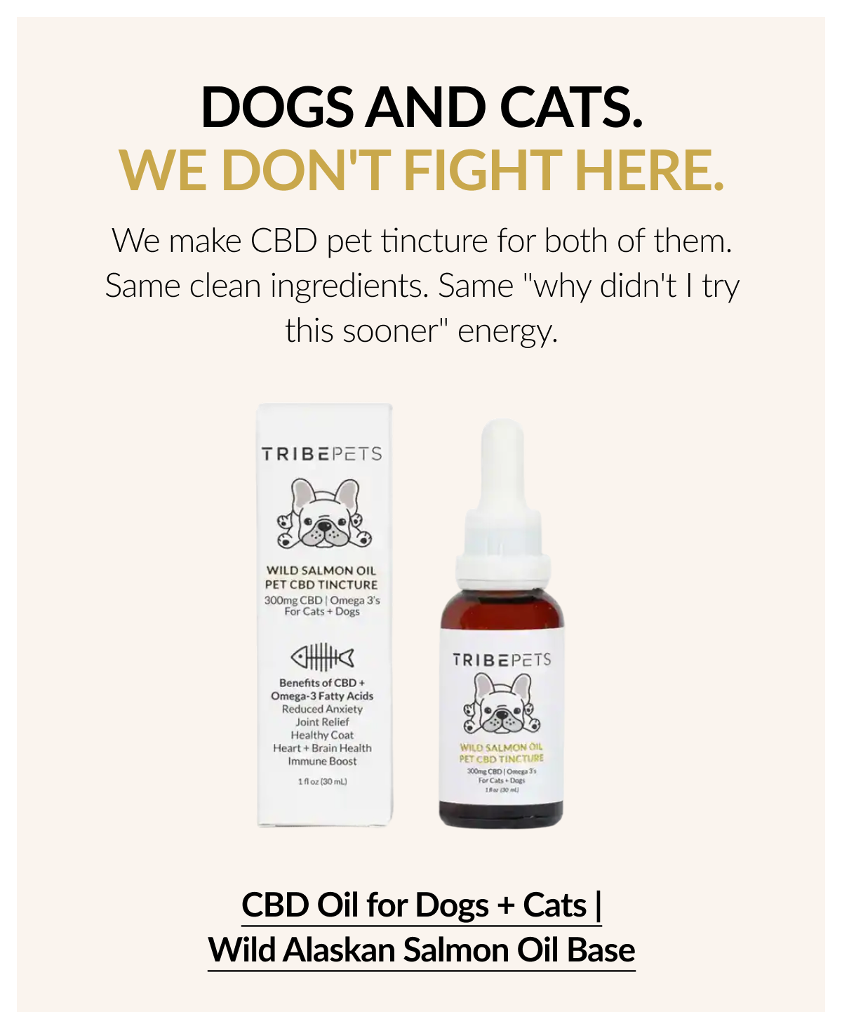 Dogs & Cats. We don't fight Here.