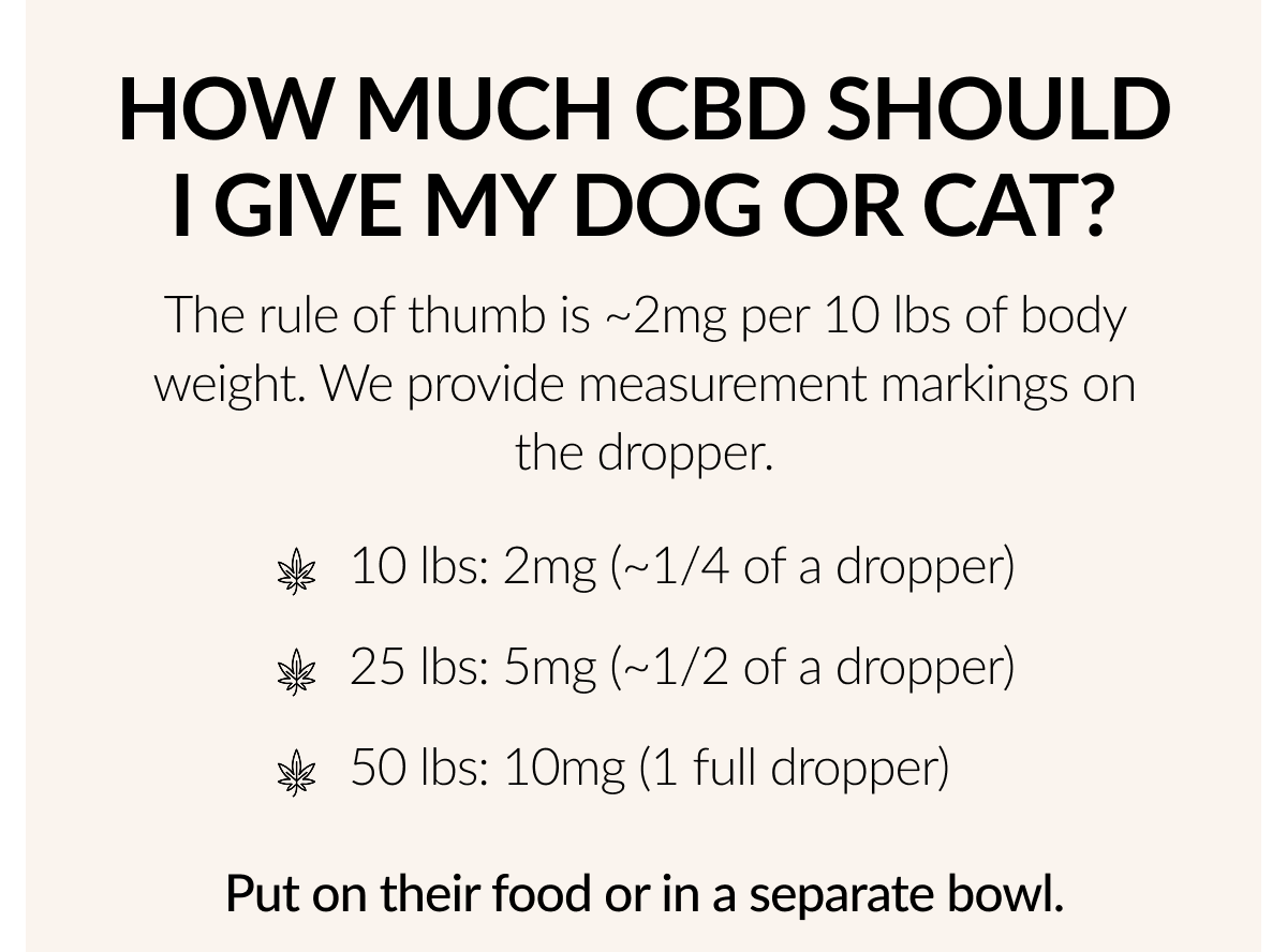 How Much CBD should give my Dog Or Cat