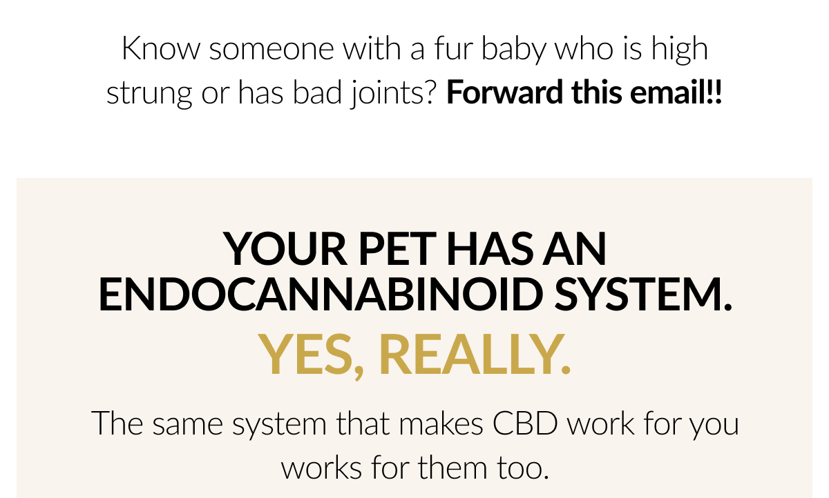 Your Pet has an endocannabinoid System 
