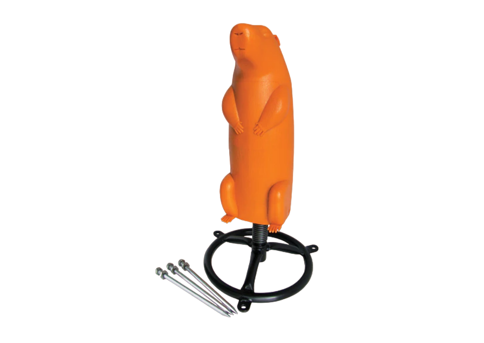 Do All 3D Prairie Dog