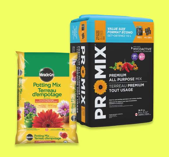 Up to 25% off select lawn and garden care products