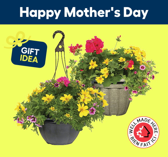 YOUR CHOICE $27.99* EA. Mother's Day Assortment in Planter or in Hanging Basket