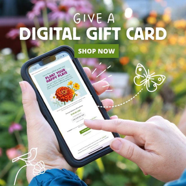 Give a digital gift card