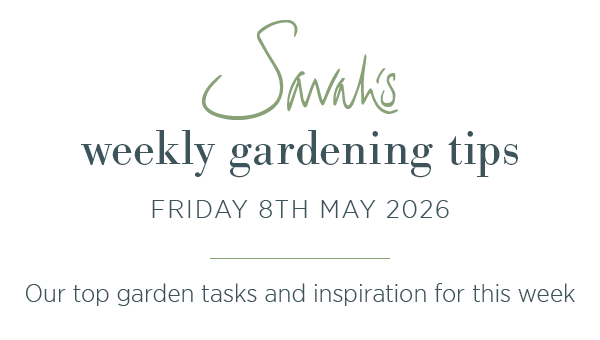 Sarah's weekly gardening tips. Friday 8th May 2026. Our top garden tasks and inspiration for this week.