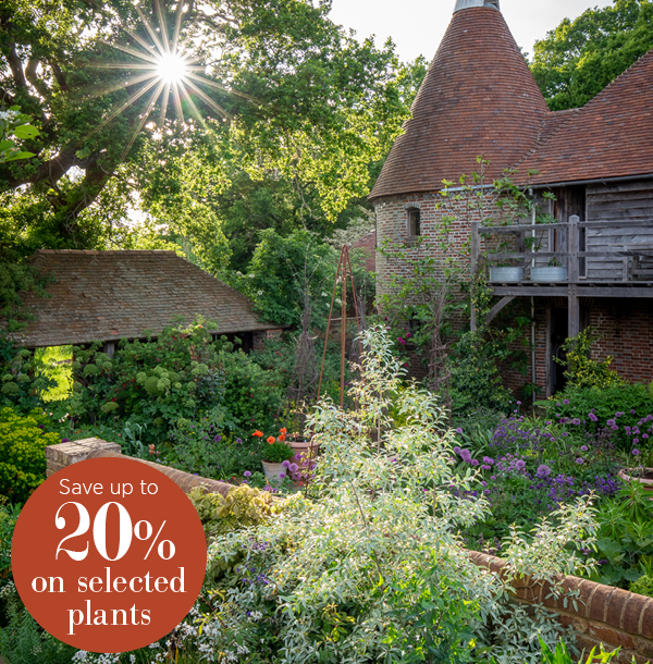 Save up to 20% on selected plants*