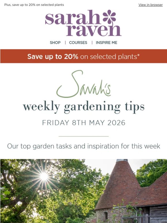 Sarah's weekly tips | Plants to plant now
