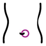 Belly