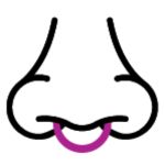 Septum
