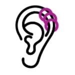 Cartilage