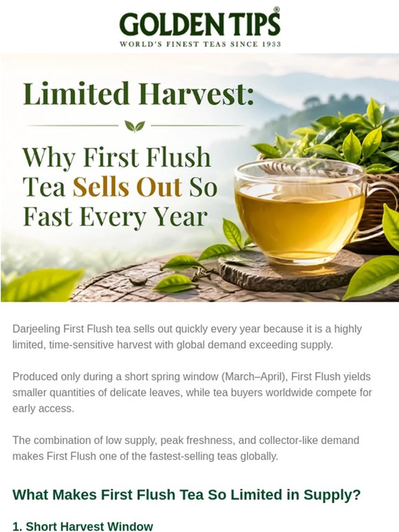 Why First Flush Tea Sells Out So Fast Every Year