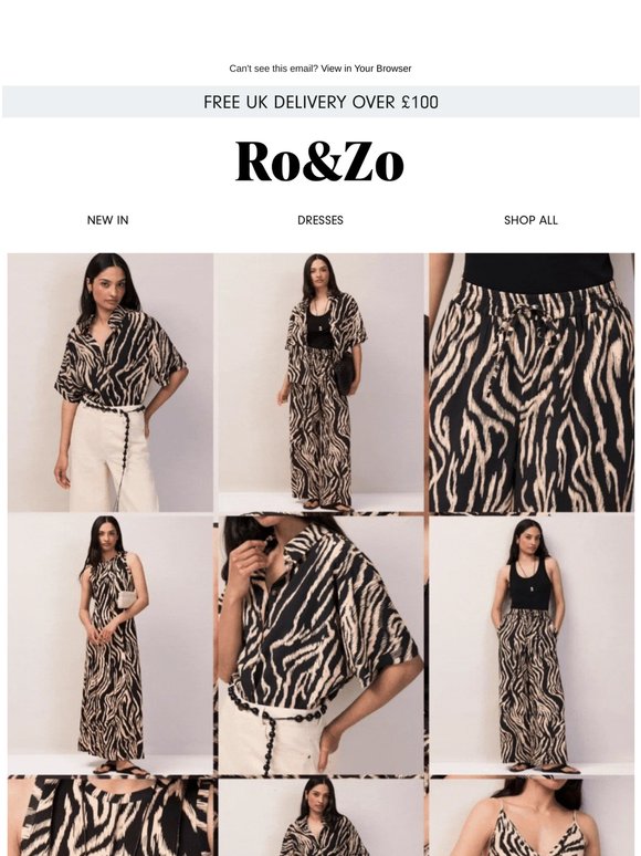 Go Wild: Zebra Is Here