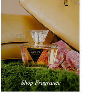 Shop Fragrance
