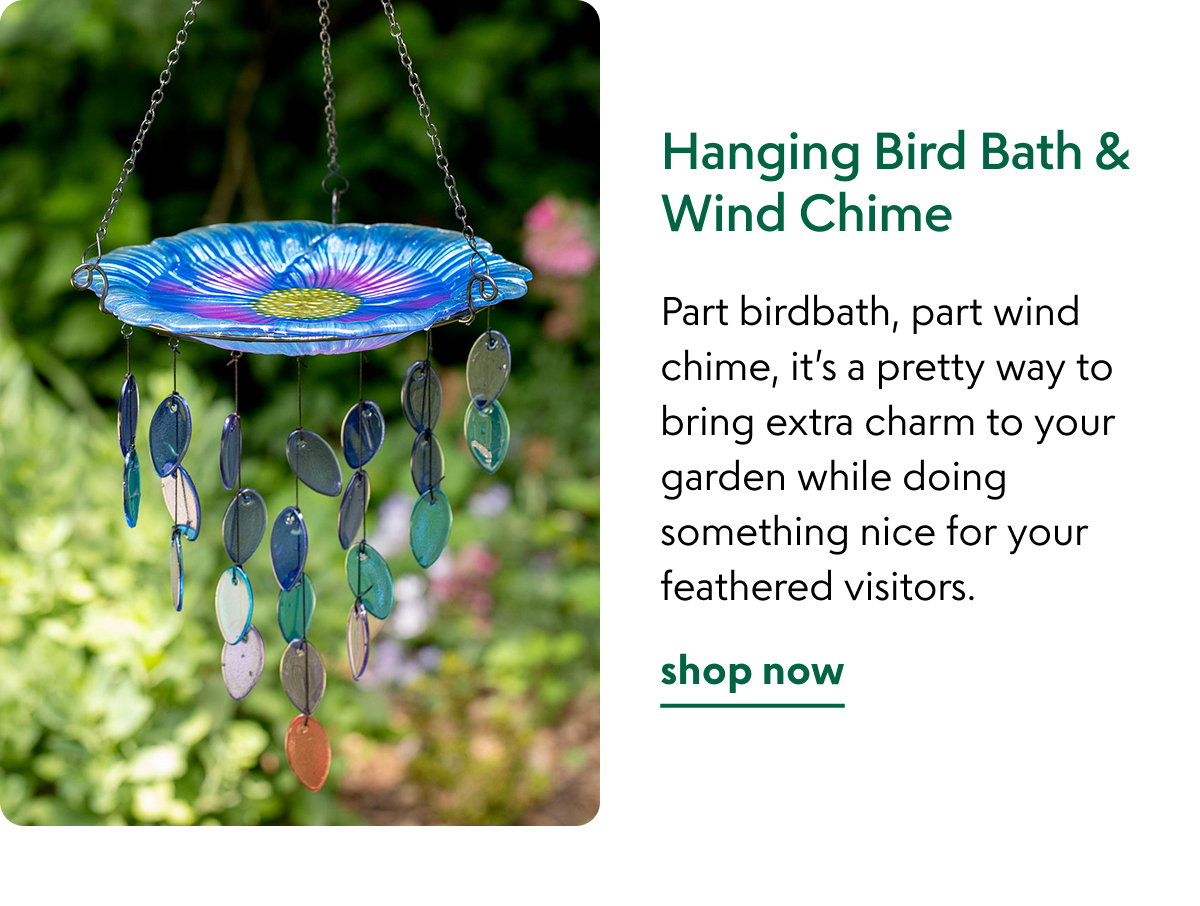 hanging-bird-bath-wind-chime