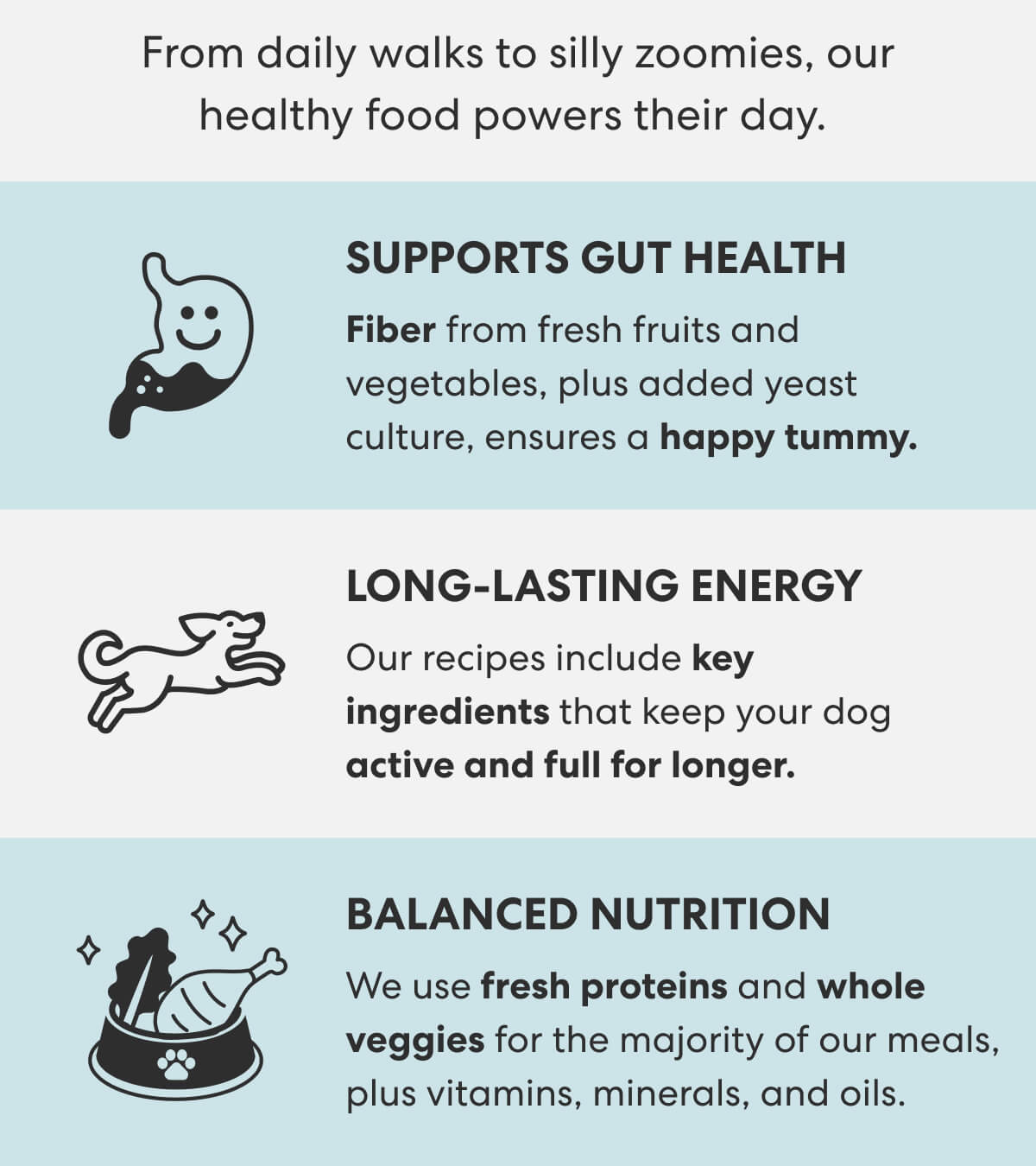 [Banner] Recipes Made with Wholesome Ingredients