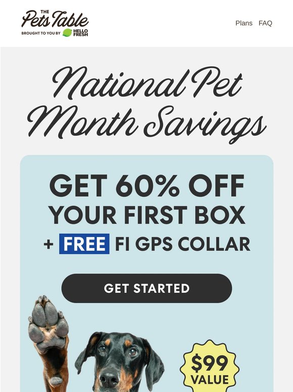 Your pup gets 60% OFF + a FREE Fi GPS Collar!