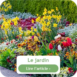 Que faire au jardin en mai ?