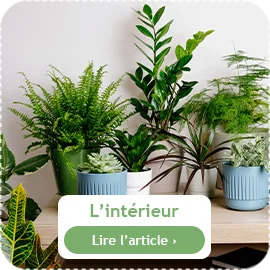 Que faire à l'intérieur en mai ?
