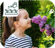 10 arbustes parfumés à planter dans votre jardin !