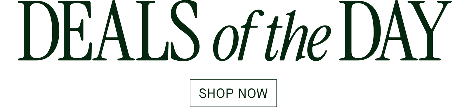 Deal Of The Day