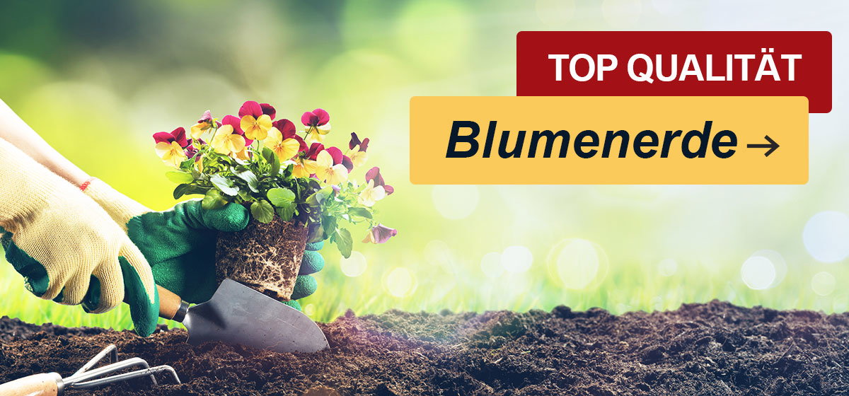 Blumenerde