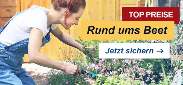 Beetgestaltung