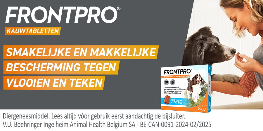 Woman feeding a Border Collie FRONTPRO chewable flea and tick tablet; product box shown, promoting protection for dogs 10–25 kg