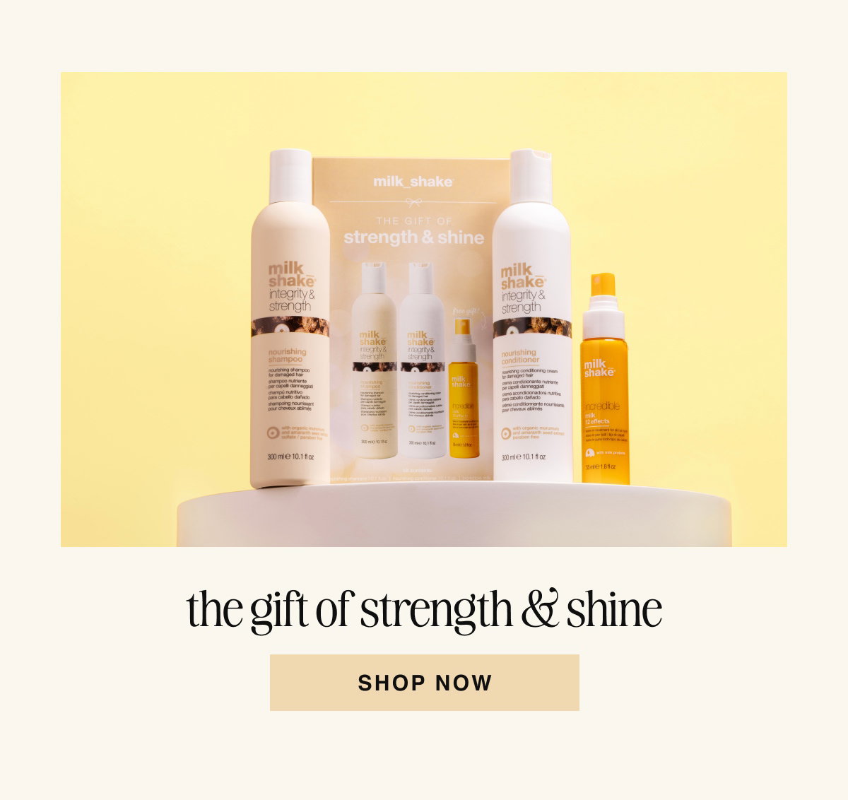 the gift of strength & shine