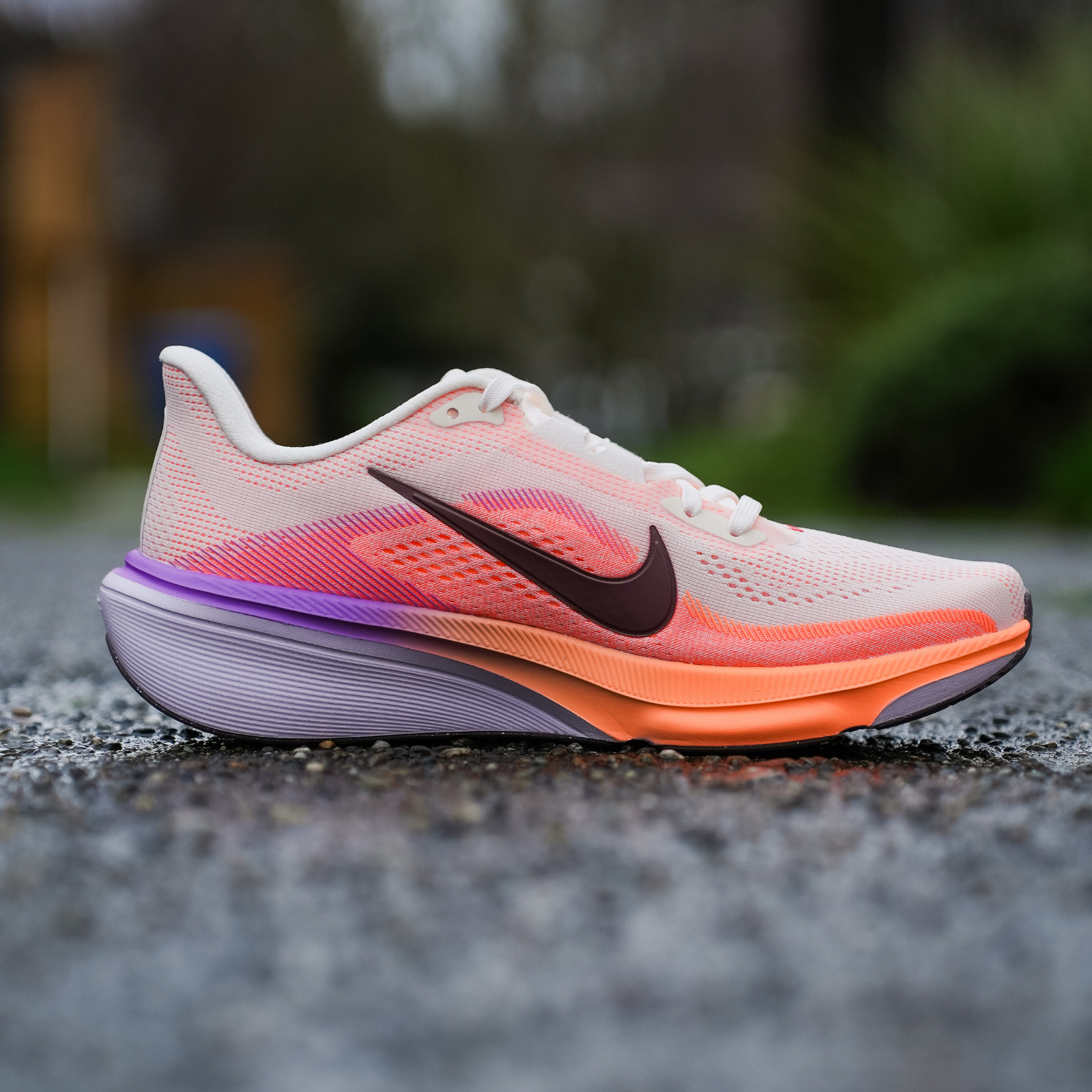Nike Pegasus 42