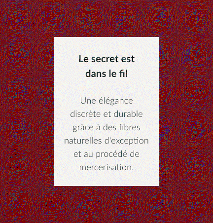 Le Polo Sartorial
