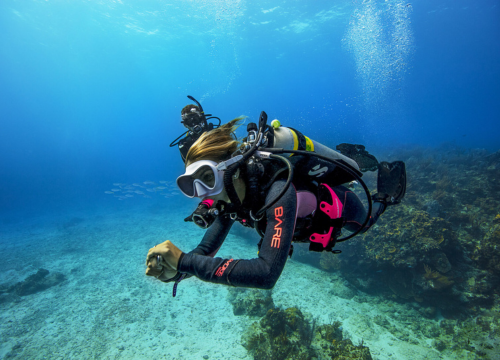 PADI Enriched Air (Nitrox) Diver