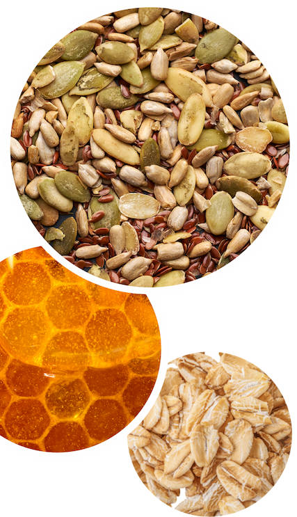 Oats | Honey | Seeds