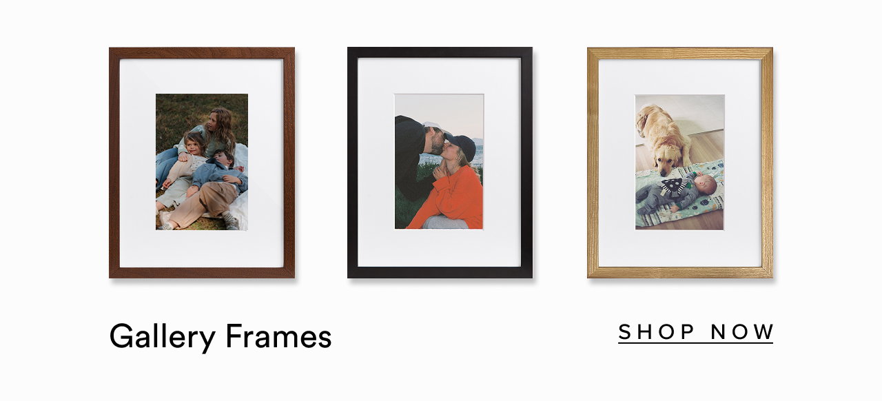 Gallery frames