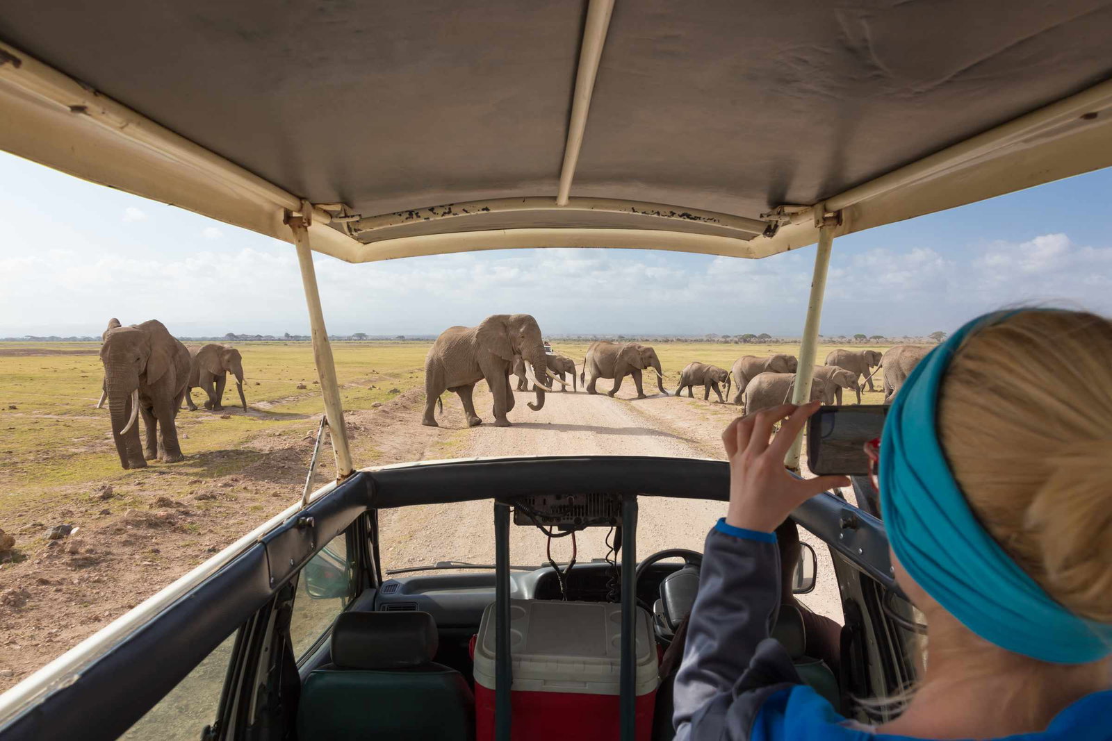 Kenyan Safari