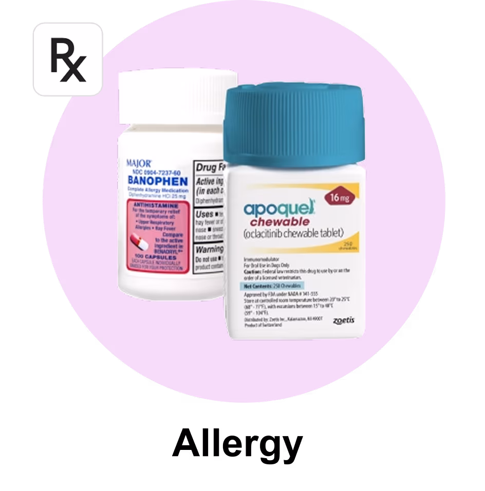 Allergy Management