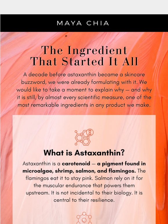 The antioxidant flamingos figured out first