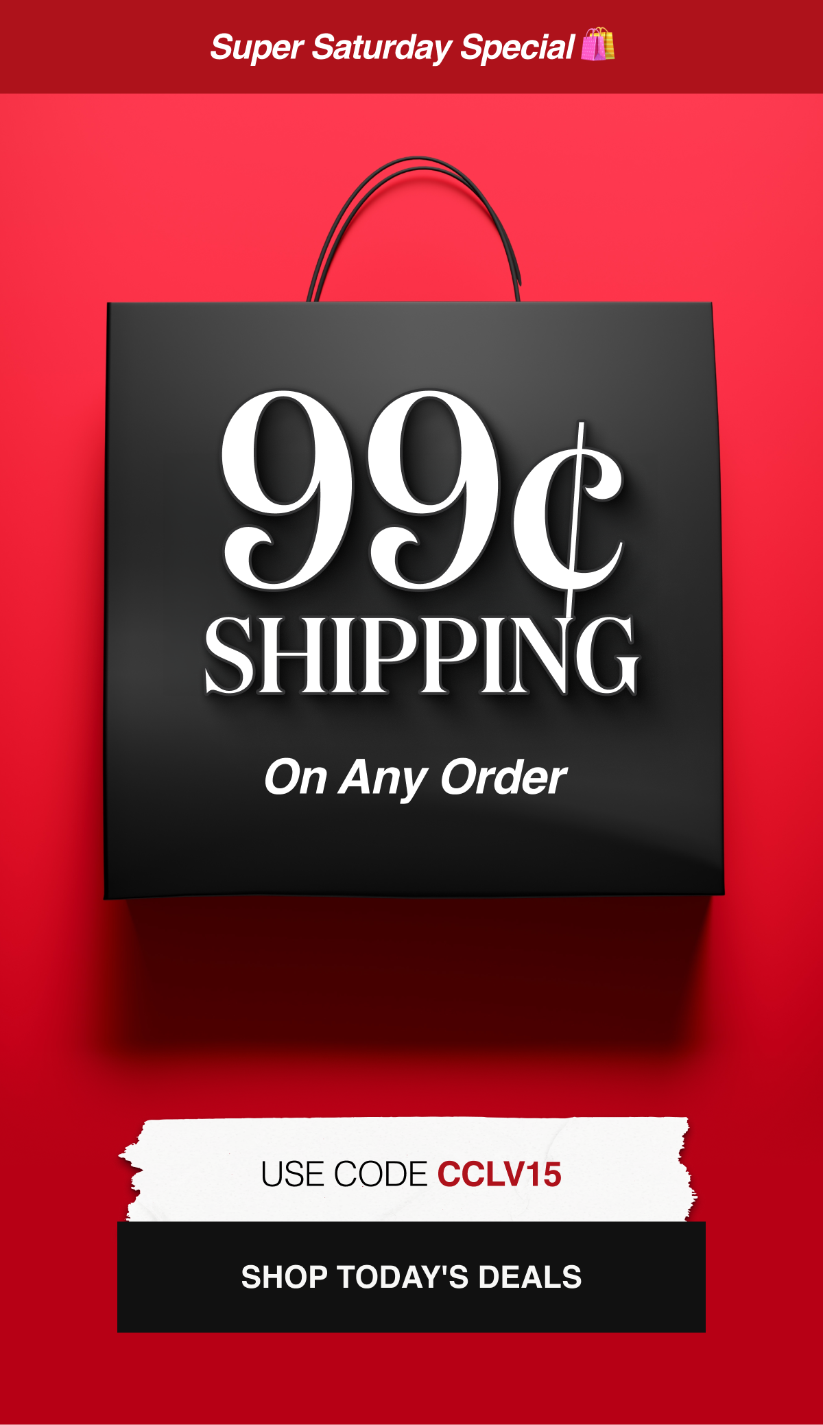 Super Saturday Special 🛍️ 99¢ Shipping on Any Order Use code CCLV15
