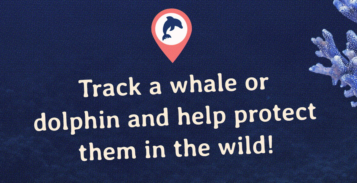 Help to combat threats like bycatch, overfishing, habitat destruction, and climate change.